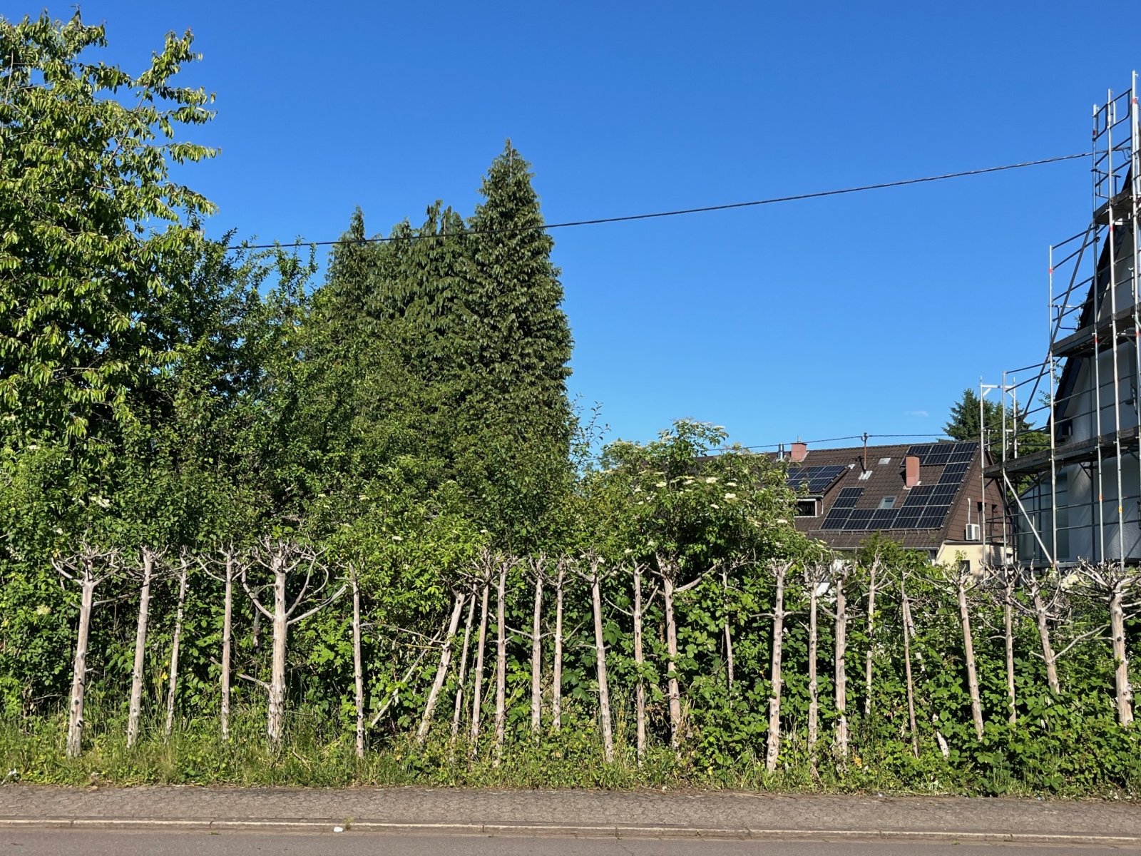SCHMELZ : Ebenes Baugrundstück in der = Schillerstraße = – Ein Platz für Ihre Visionen!  SCHMELZ : Ebenes Baugrundstück in der = Schillerstraße = – Ein Platz für Ihre Visionen!